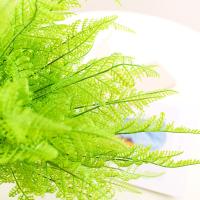 uploads/erp/collection/images/Home Garden/CongDing/XU0611519/img_b/XU0611519_img_b_4